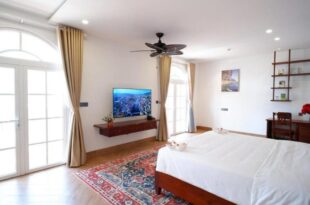 Hai Bot Home A100