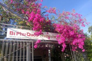 Homestay Golf & Coffee – Bi Phú Quốc