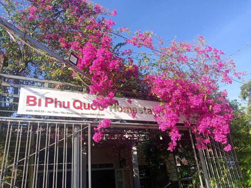 Homestay Golf & Coffee – Bi Phú Quốc