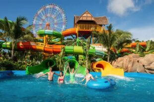Khám Phá VinWonders Nha Trang Và Vinpearl Safari Phú Quốc: Hai Vũ Trụ Giải Trí Đỉnh Cao